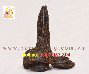 Trầm cảnh NT 49