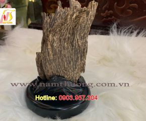 Trầm cảnh NT 79