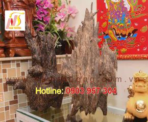 Trầm cảnh NT 31